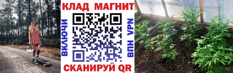 Купить наркотики цена Грозный Бошки Шишки Мефедрон Кокаин Гашиш