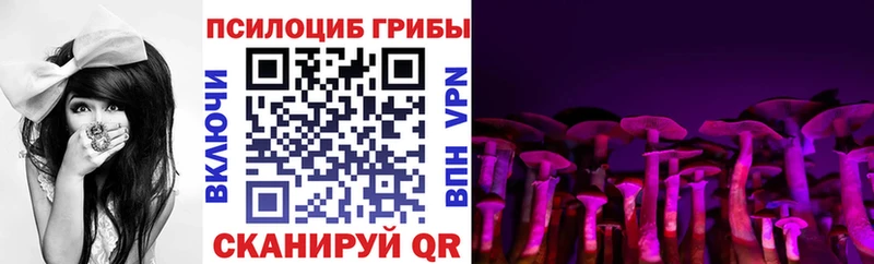 Псилоцибиновые грибы прущие грибы  Грозный 