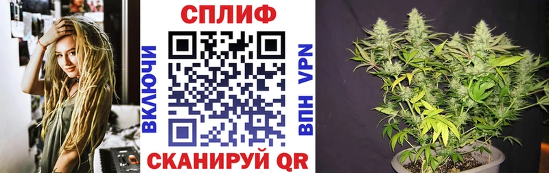 Канабис MAZAR  Грозный 